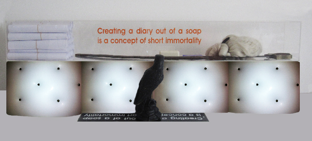 soap diary, mixed media, 2010
